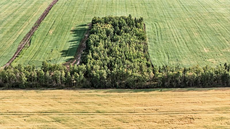 Aerial photograph of rural land and farmland 14