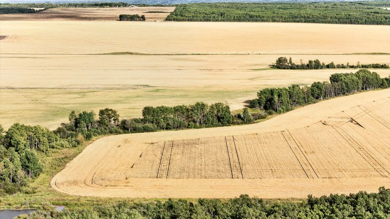Aerial photograph of rural land and farmland 15